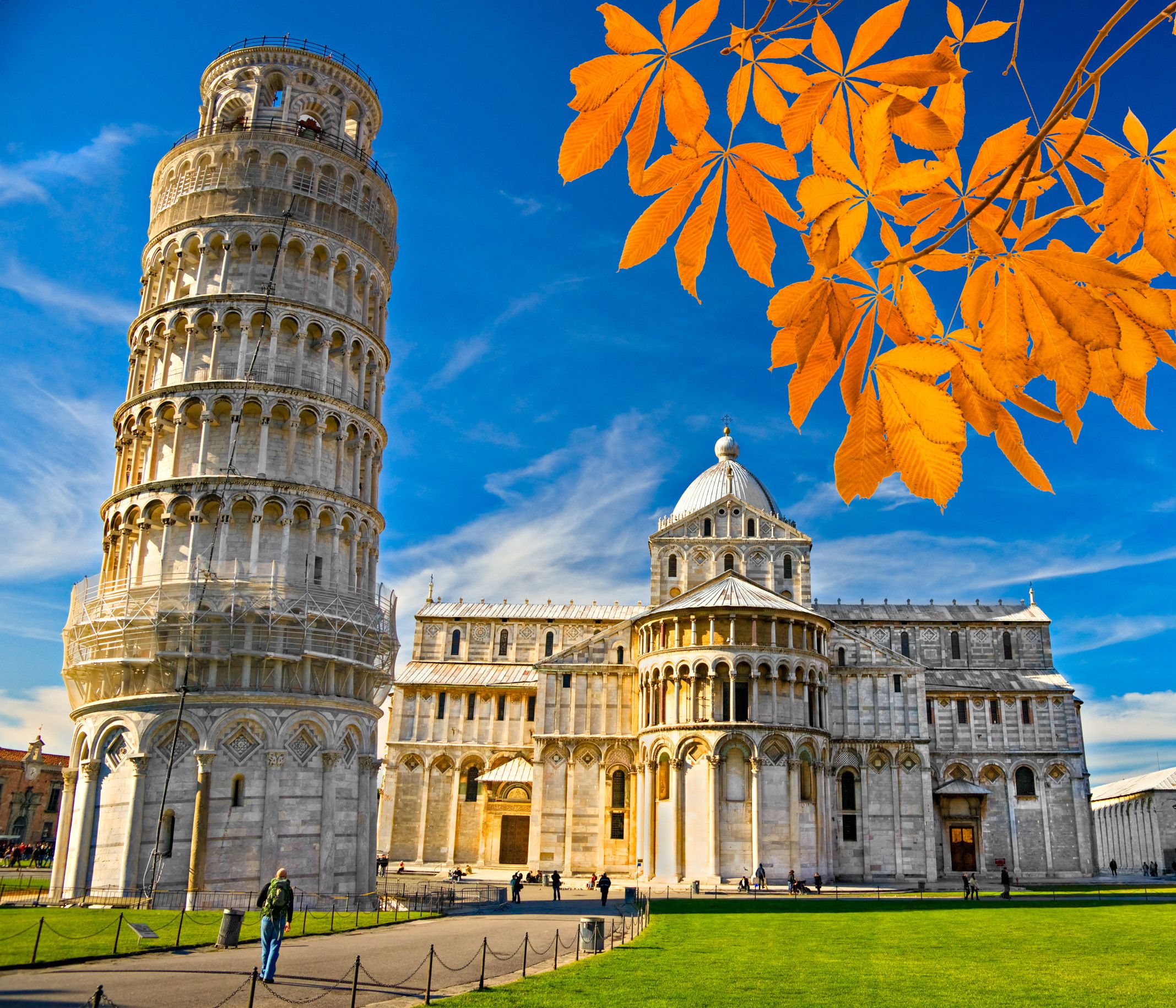 Der schiefe Turm von Pisa mit blauen Himmel und herbstlichen Blättern im Vordergrund. Ein schönes Wahrzeichen.