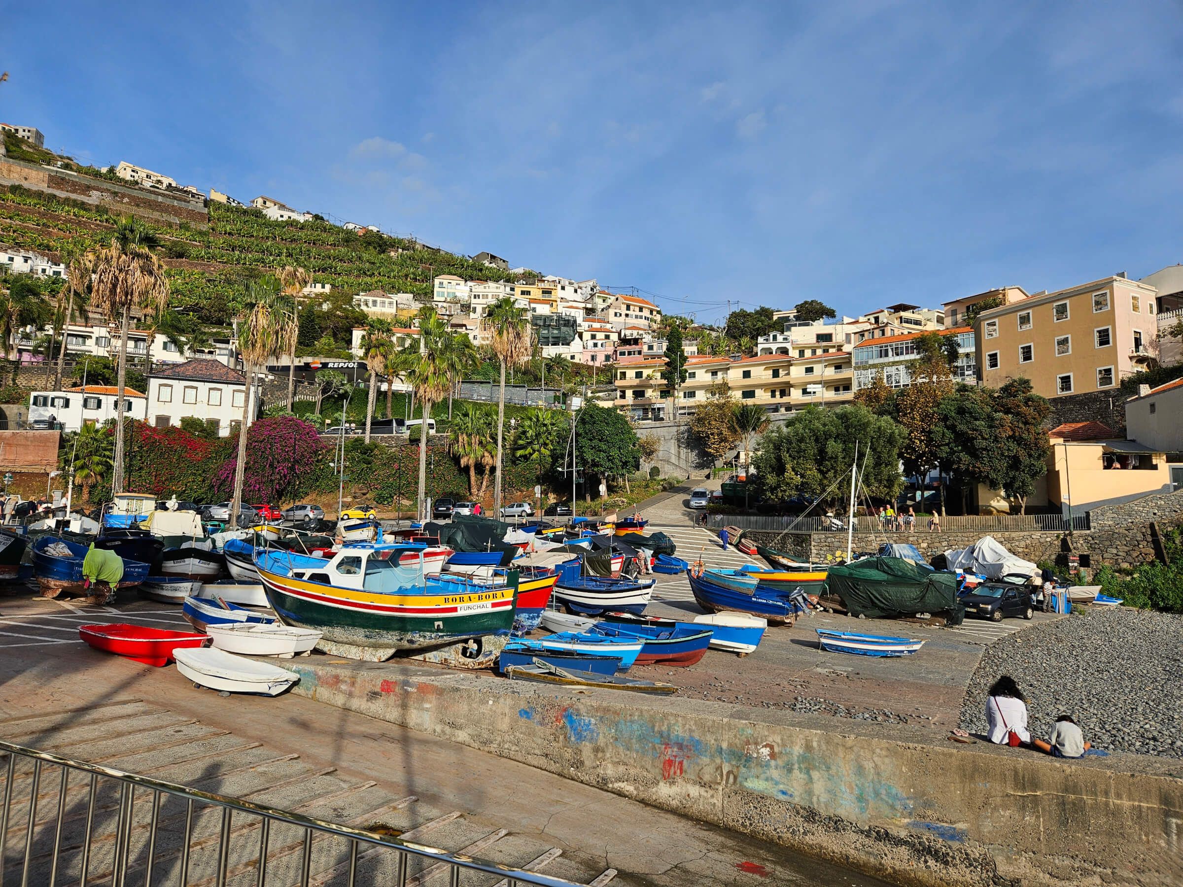 Ein malerischer Hafen mit bunten Booten, umgeben von Palmen und bunten Gebäuden auf einem Hügel.