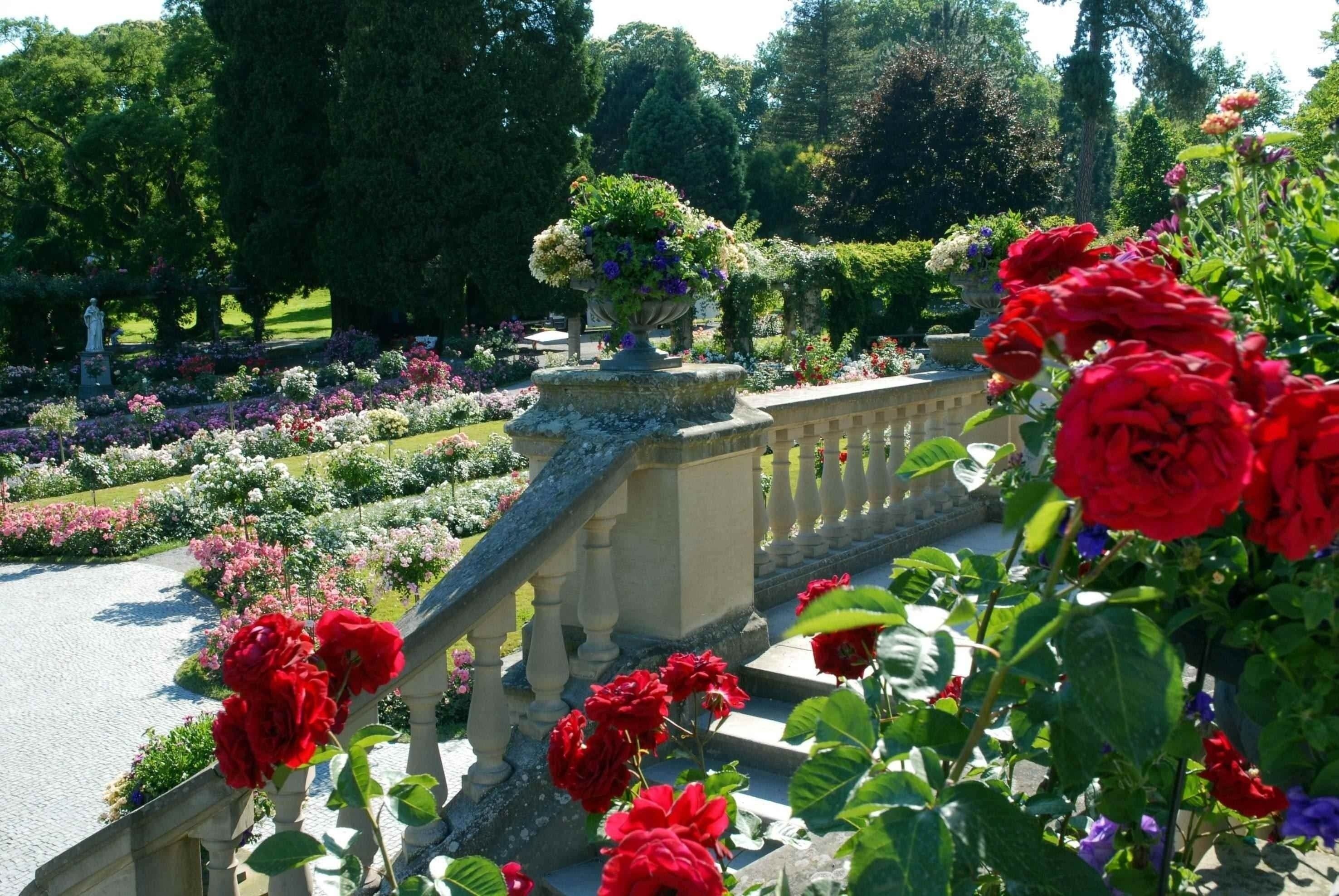 Ein prächtiger Garten mit blühenden Rosen, bunten Blumenbeeten und einer steinernen Treppe im Sonnenlicht.