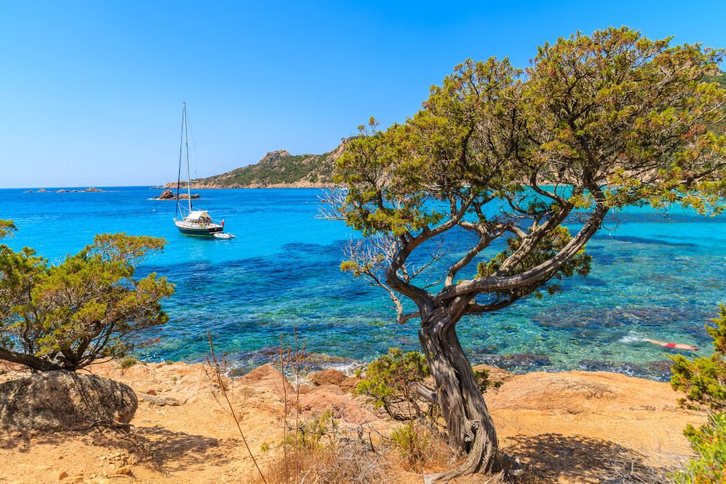 Ein Segelboot gleitet durch das klare, blaue Wasser zwischen Felsen und Bäumen an einem sonnigen Tag.