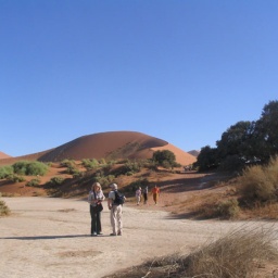 namibia42