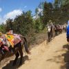bhutan_80