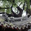 china2018_shanghai_26