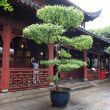 china2018_shanghai_28