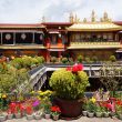 china2018_tibet_21