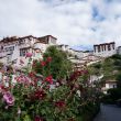 china2018_tibet_5
