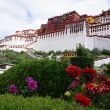 china2018_tibet_6