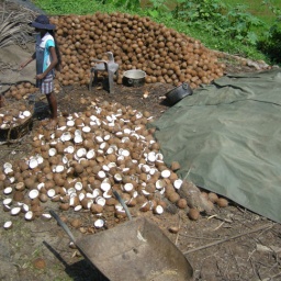 srilanka3