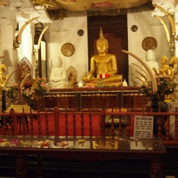 srilanka50