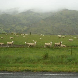 neuseeland_rundreise_81