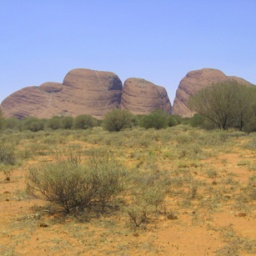 olgas_2