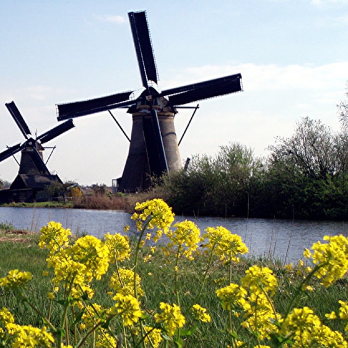 holland_windmhle