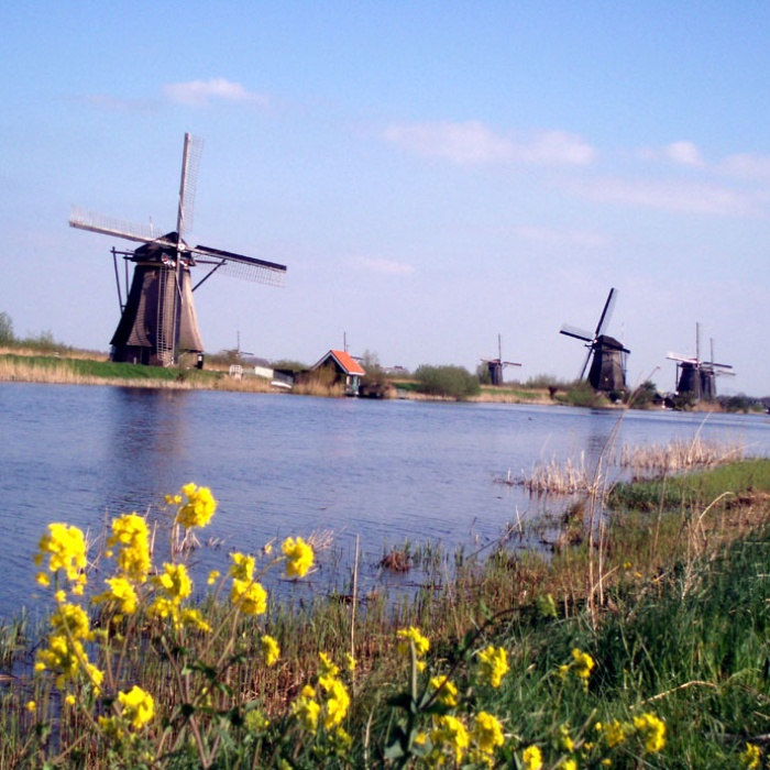 holland_windmhle2