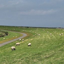 ostfriesland_reise_49