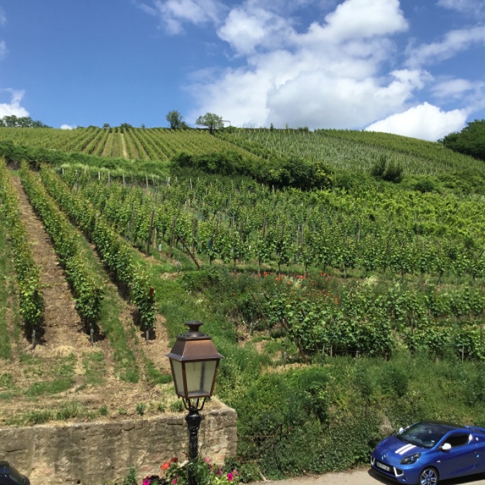 elsass_busreise_2018_27