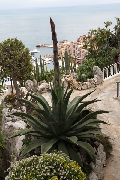 menton_2014_55