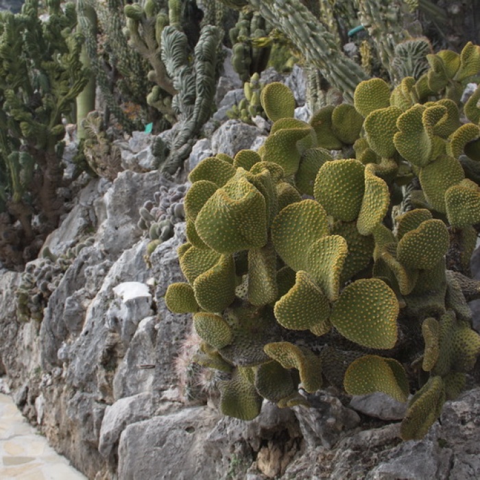 menton_2014_59