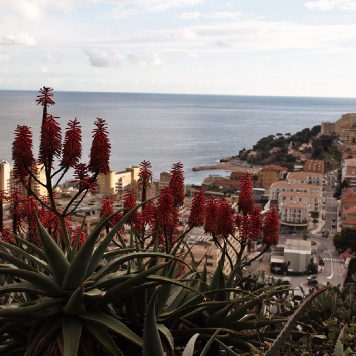 menton_2014_61