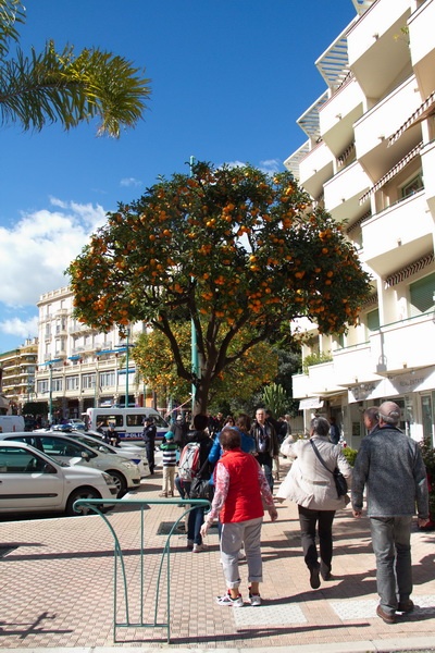 menton_2014_71