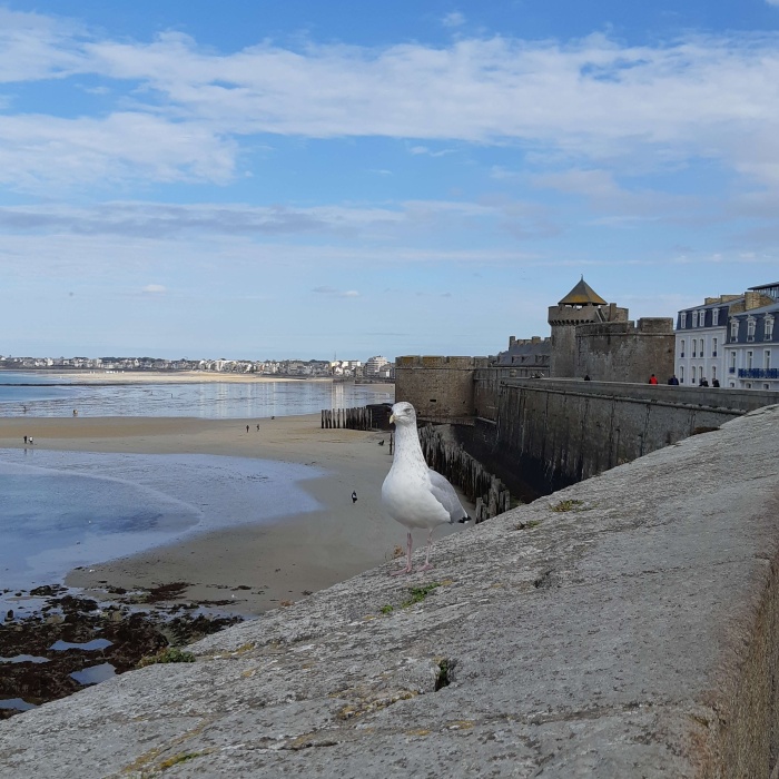 normandie_rr2019_michel_stmalo_17