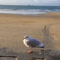 Normandie Bretagne 2019