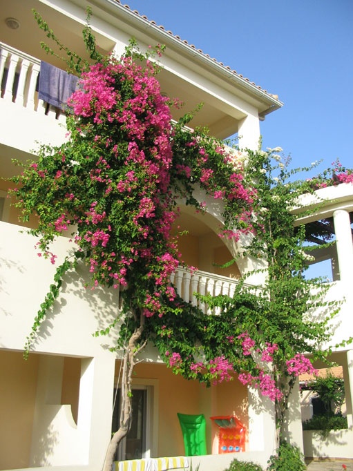 zakynthos_hotel6