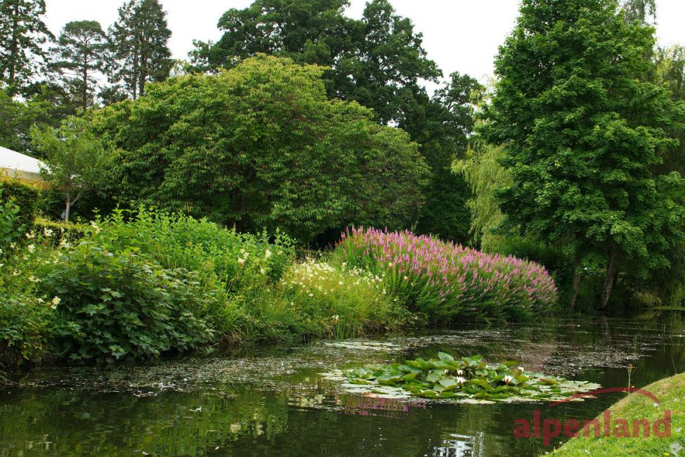 suedengland_2017_hever_castle_2