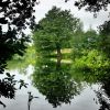 suedengland_2017_sissinghurst_4