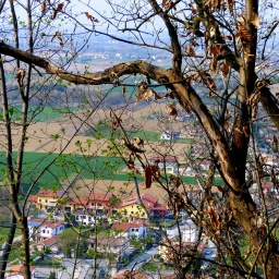 p1030562