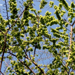 p1030582