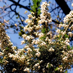 p1030826