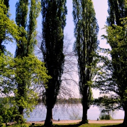 p1040021