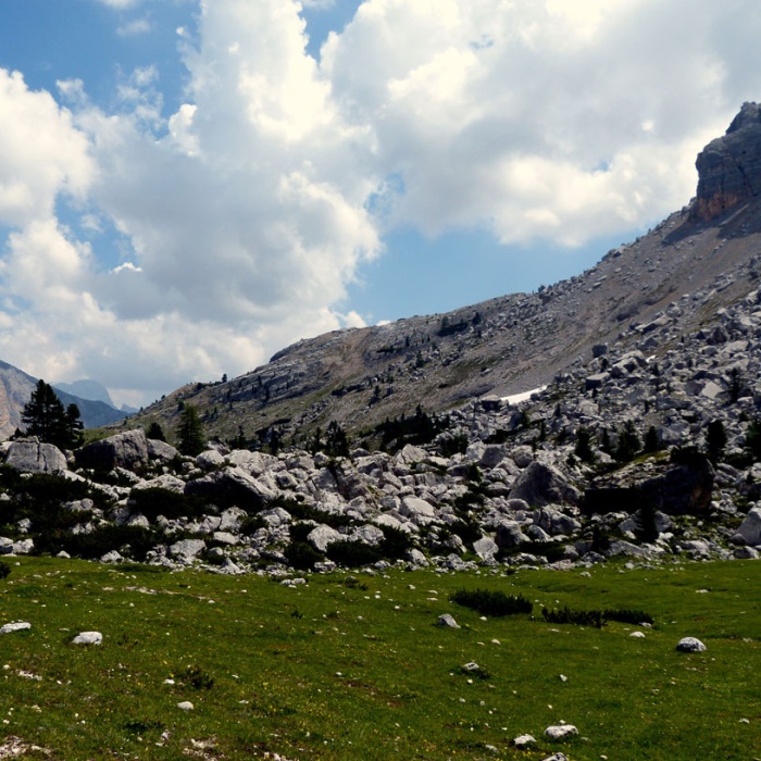 almbluetewanderung_2013_26