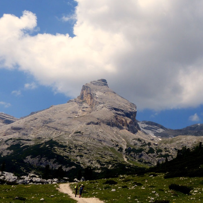 almbluetewanderung_2013_28