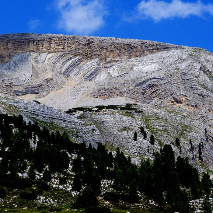 almbluetewanderung_2013_30