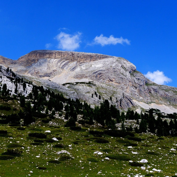 almbluetewanderung_2013_31