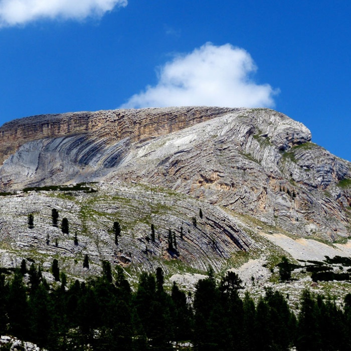 almbluetewanderung_2013_32