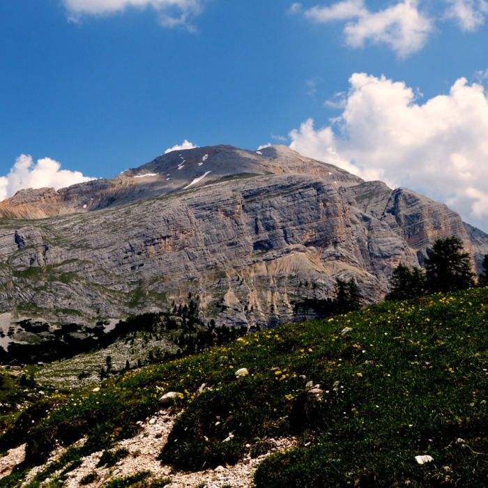 almbluetewanderung_2013_33