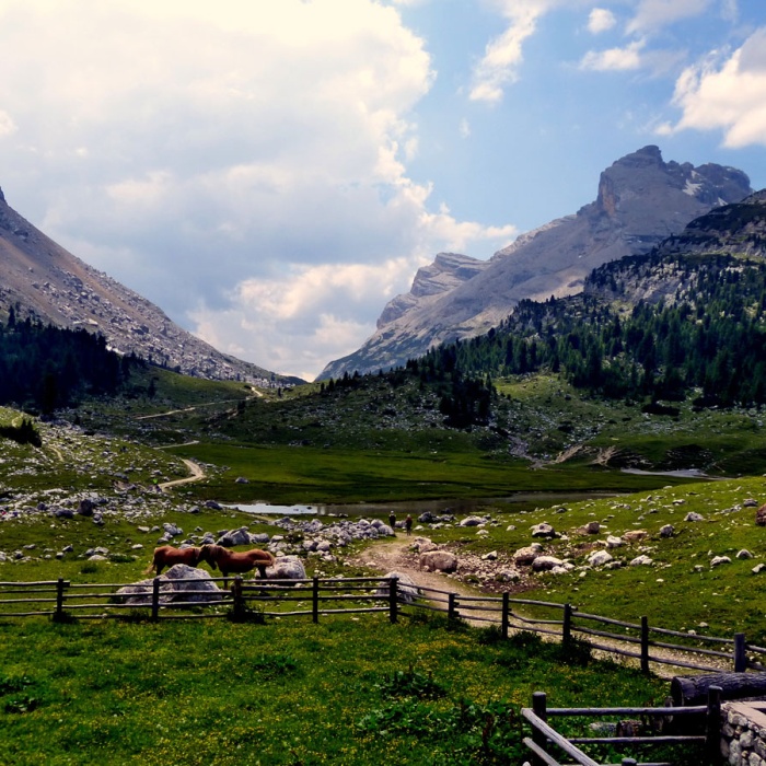 almbluetewanderung_2013_44