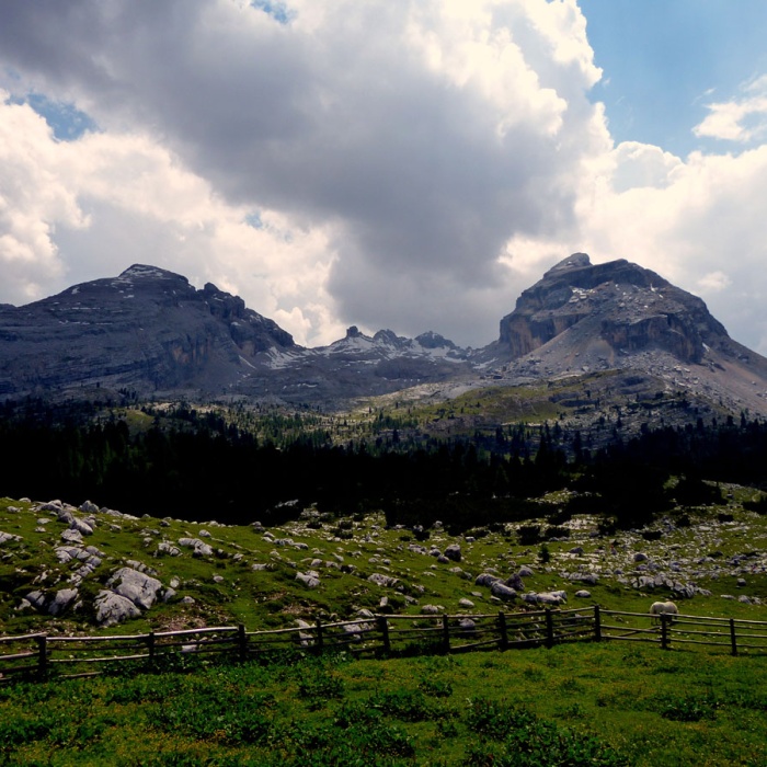 almbluetewanderung_2013_45