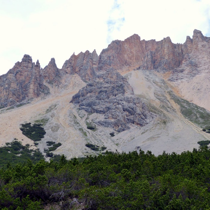 almbluetewanderung_2013_63