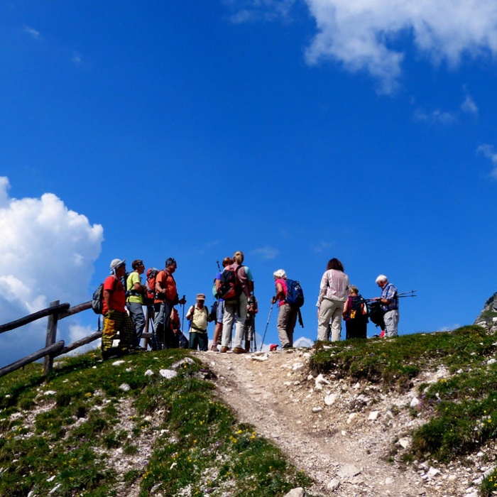 almbluetewanderung_2013_82