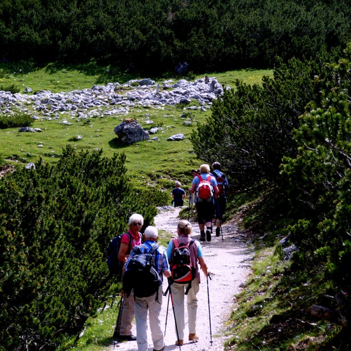 almbluetewanderung_2013_83