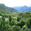 meran_trauttmansdorff1