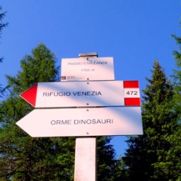 p7060057