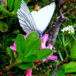 p7060098