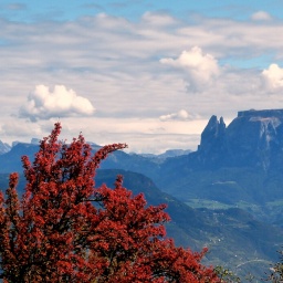 Steinwanderung 2015