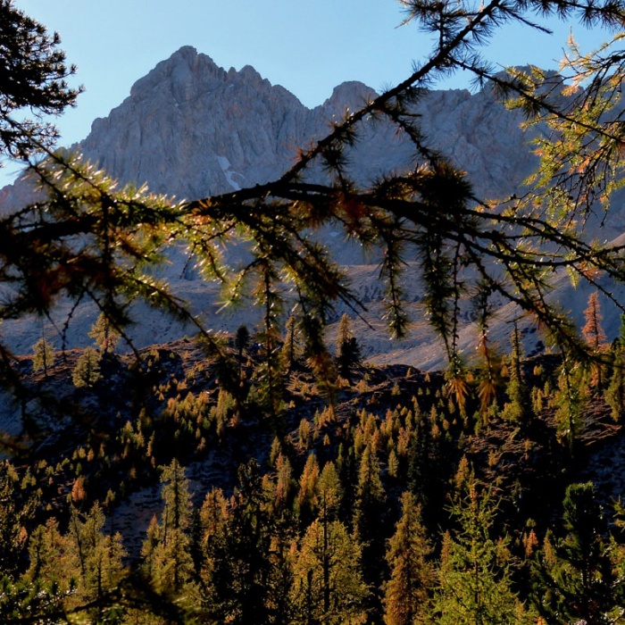 steinwanderung_altpragsertal_11