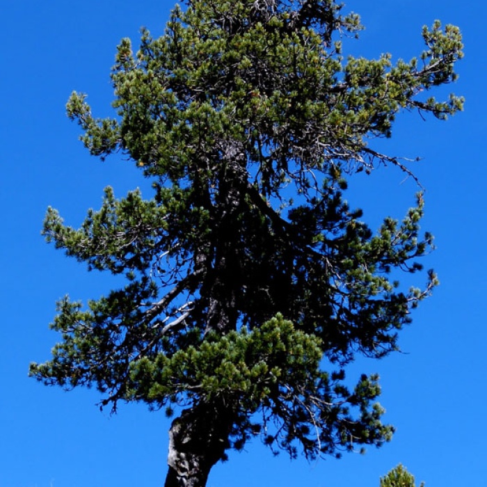 steinwanderung_altpragsertal_17