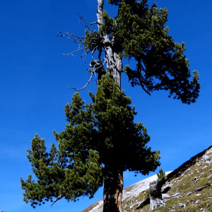 steinwanderung_altpragsertal_18